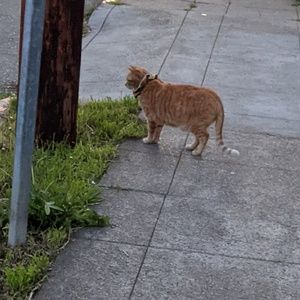 Meet your Posher, Ben